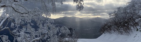 この時期だけの絶景！「星野リゾート　トマム」の霧氷テラスが今季もオープン