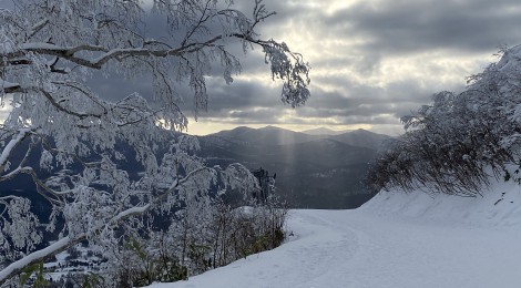 この時期だけの絶景！「星野リゾート　トマム」の霧氷テラスが今季もオープン