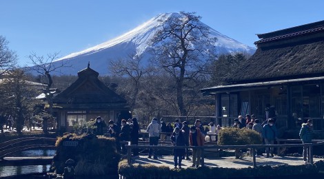 【世界遺産】神秘的なパワースポット「忍野八海」! 周辺のグルメも充実